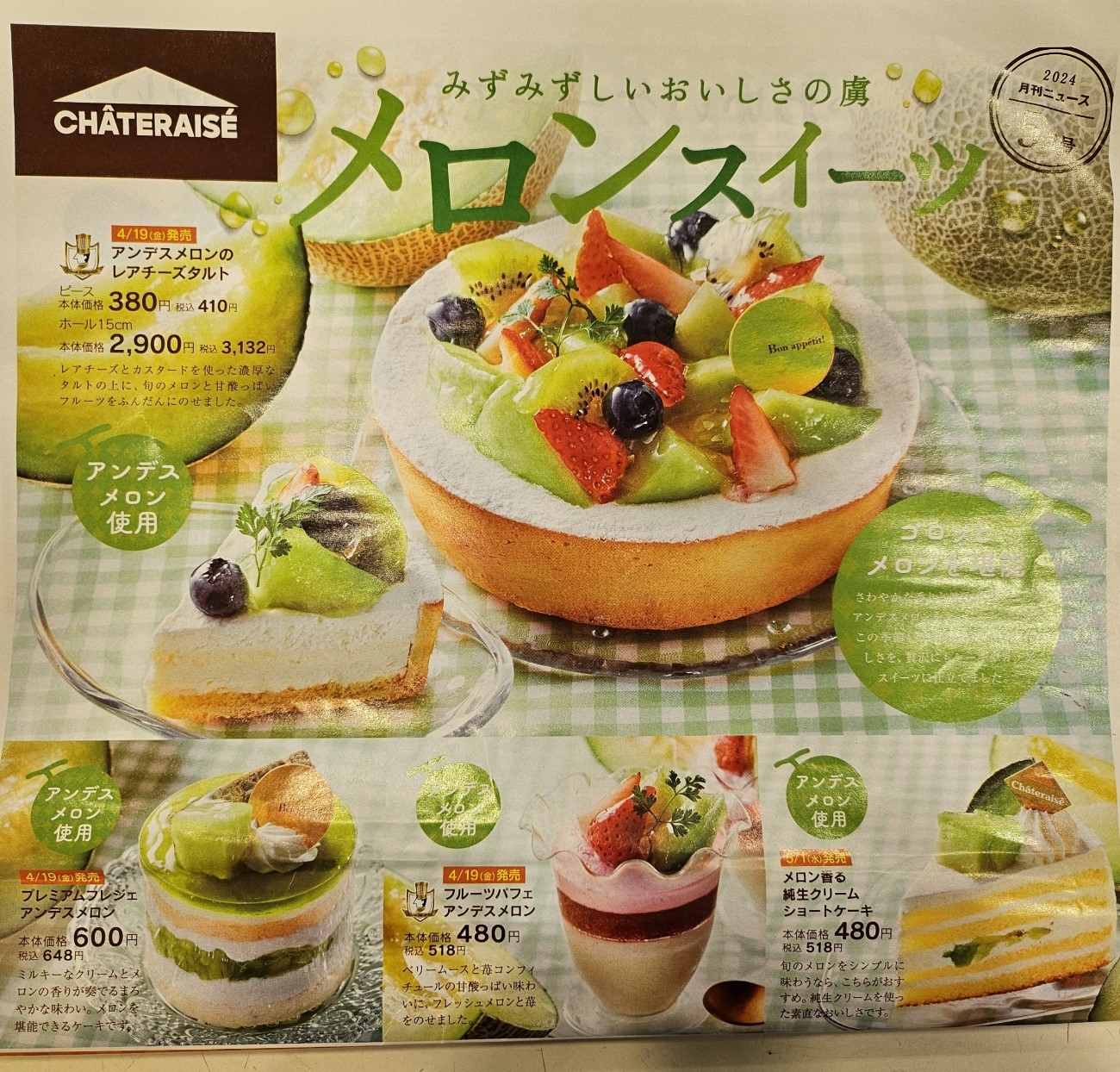 活動歴および当時の関連ビジュアル記録